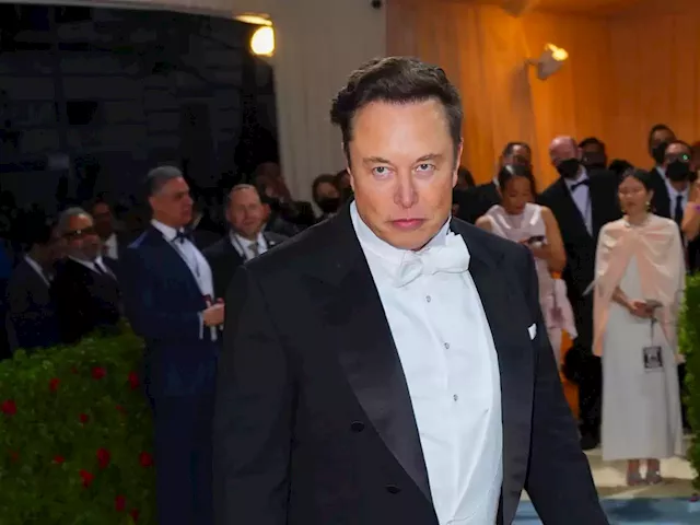 Elon Musk suggests journalists want to harm him and his family after restoring suspended Twitter accounts | Business Insider