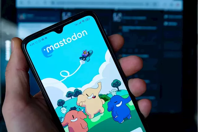 I spent a week on Mastodon, where some are turning to as they abandon Twitter. This is what it was like. | Business Insider