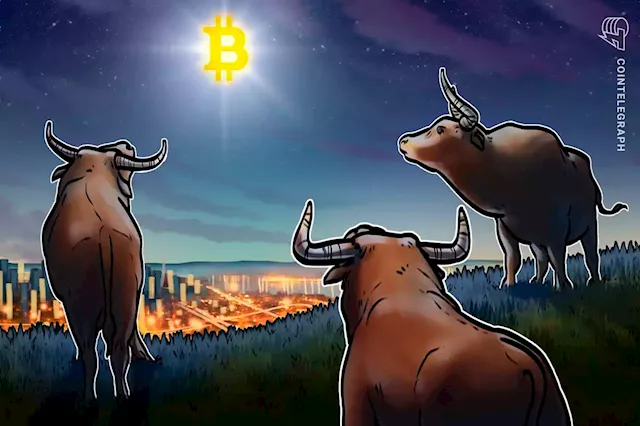 Bitcoin still lacks this on-chain signal for BTC bull market — David Puell