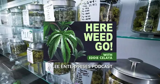 MJBizCon 2022 highlights booming business, innovation in cannabis industry | Here Weed Go! podcast