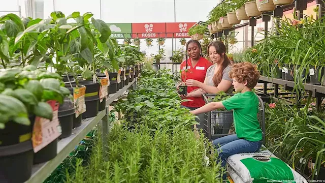 New Jacksonville Tractor Supply Company store to open this week - Jacksonville Business Journal