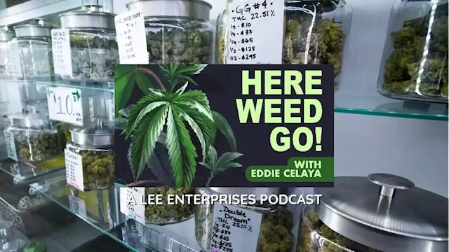 MJBizCon 2022 highlights booming business, innovation in cannabis industry | Here Weed Go! podcast