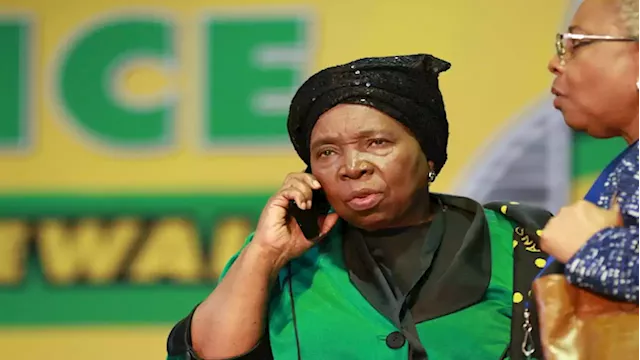 Mkhize's large support is the reason why Dlamini-Zuma declined nomination: Analyst - SABC News - Breaking news, special reports, world, business, sport coverage of all South African current events. Africa's news leader.