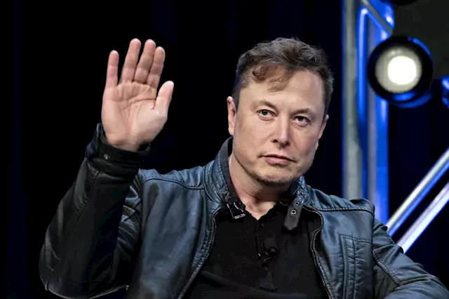 Business Maverick: What Led Twitter Users Into Voting Elon Musk Out: Timeline