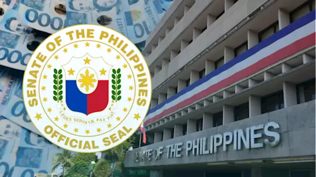 Senators vow to scrutinize proposed Maharlika Investment Fund bill