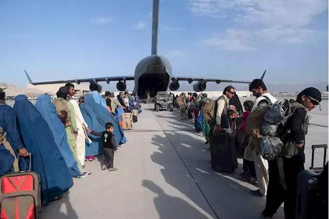 Afghan government officials helped smugglers sneak almost $1 billion out of Afghanistan, documents show | Business Insider