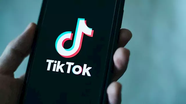 TikTok is removing some of the mystery behind how it recommends videos to users | CNN Business