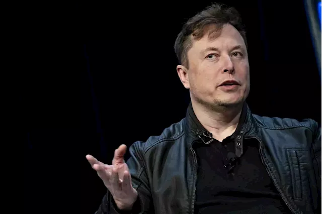 Business Maverick: Musk Actively Looking for New CEO After Losing Poll, CNBC Says