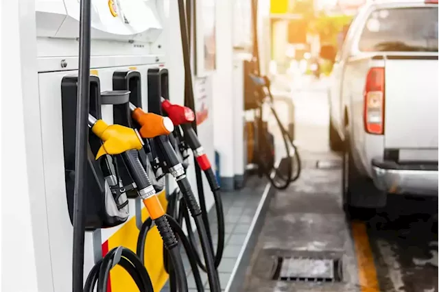 Fuel prices headed for cut in the new year | Business