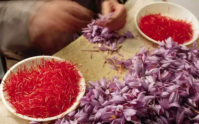 Local saffron farmer wants to take on the world | Business