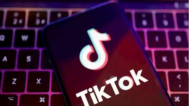 TikTok bans hit more US states; security firm says most access blocked globally - SABC News - Breaking news, special reports, world, business, sport coverage of all South African current events. Africa's news leader.