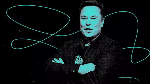 I’m a Tesla Investor. Elon Musk Is a Danger to the Company.