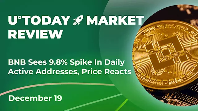 BNB Sees 9.8% Spike in Daily Active Addresses, Price Reacts: Crypto Market Review, Dec. 19