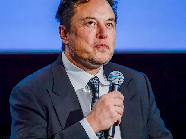 Elon Musk's net worth has plummeted $124 billion in 2022, bringing his fortune to a 2-year low | Business Insider