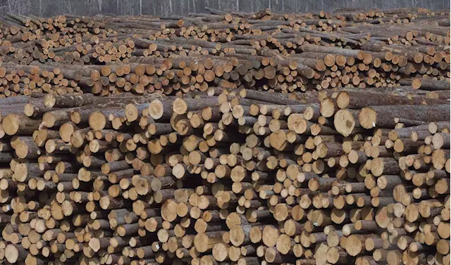 B.C. timber industry in throes of change, as premier warns of 'exhausted forests'