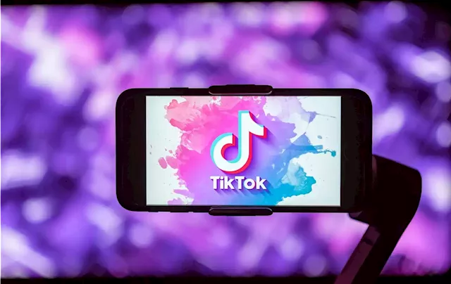 Five ways TikTok is seen as threat to US national security | Business