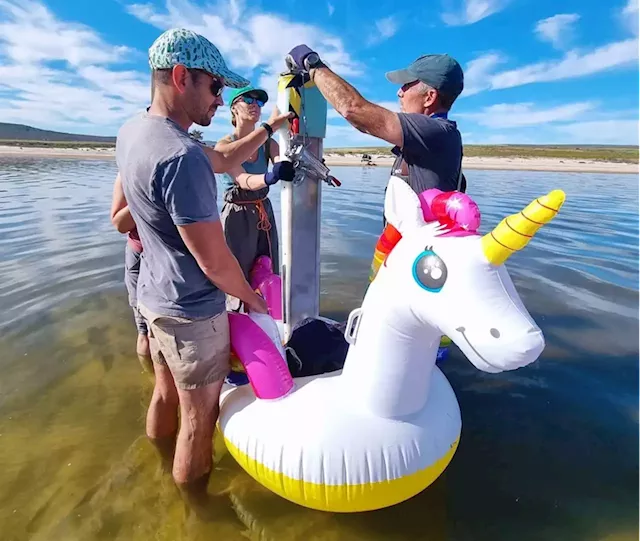 Sparkles the blow-up unicorn is helping scientists unravel SA’s fiery history | Business Insider