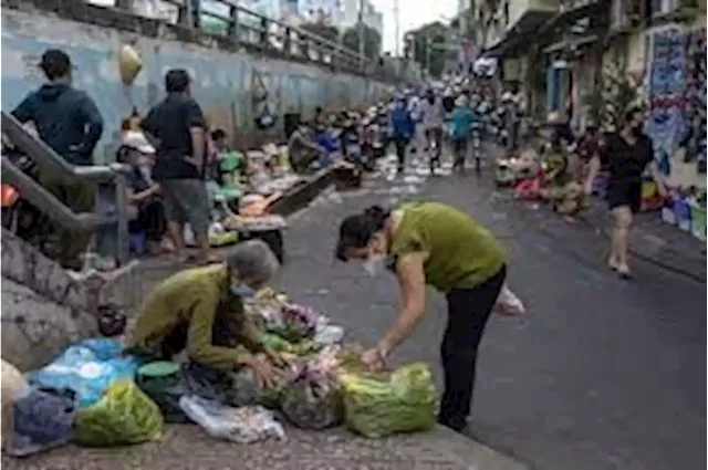 Vietnam herbal medicine industry remains under-developed