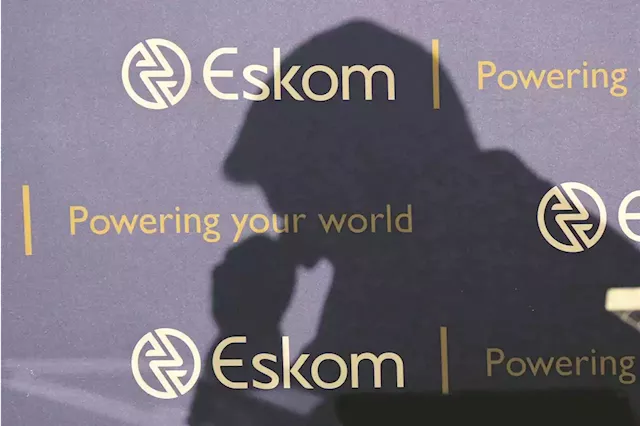 De Ruyter on army deployment at Eskom power stations: A pity we had to wait so long | Business