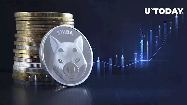 SHIB Flips SOL by Market Cap, Solana Projects Likely to Move to Ethereum: Crypto Expert