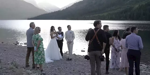 An outdoor wedding was interrupted by a bear mauling a moose. A TikTok video captured the moment. | Business Insider