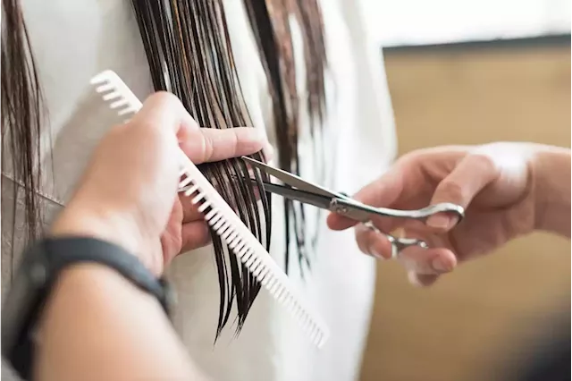 Human hair recycled in Belgium to protect the environment | Business