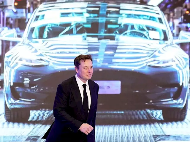 Musk tells Tesla workers not to be 'bothered by stock market craziness'