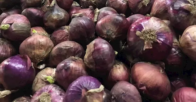 Marcos: We're looking for ways to bring seized onions into PH market