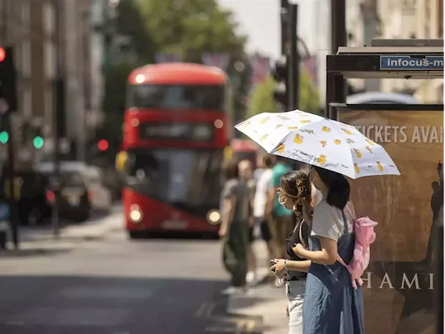 2022 set to be UK's hottest year on record | Business