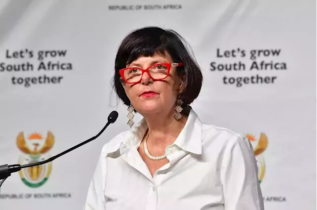 SA to push for more financial clout at COP15 talks to help tackle conservation crisis | Business