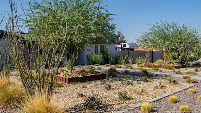 As the drought grinds on, Valley homeowners take advantage of xeriscape incentives - Phoenix Business Journal