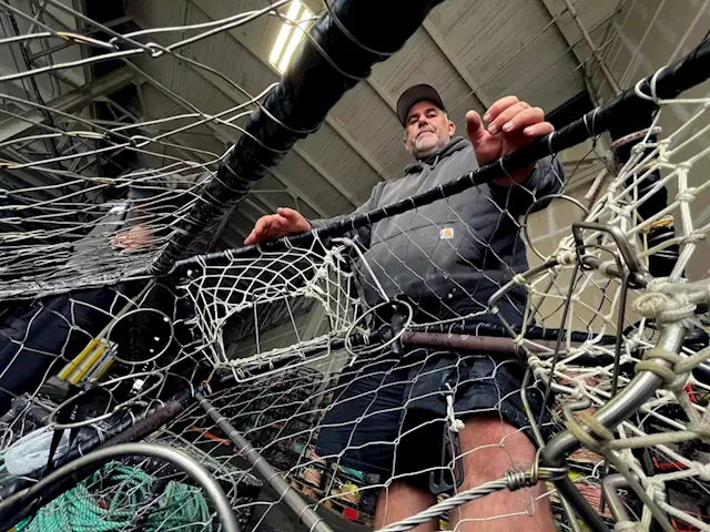 Two Bay Area fishermen push low-tech redesign of crab pot to protect whales — and revitalize a threatened industry