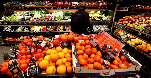 High inflation here to stay for coming months, says German industry