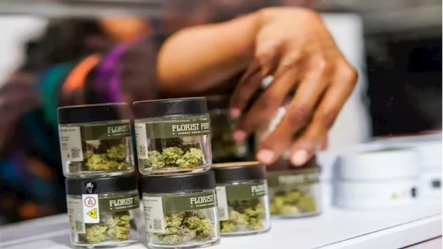 New York's first legal recreational marijuana shop opens - SABC News - Breaking news, special reports, world, business, sport coverage of all South African current events. Africa's news leader.