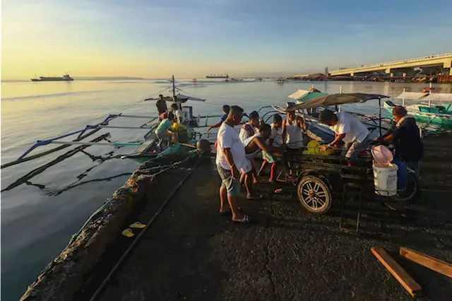 From sea to market