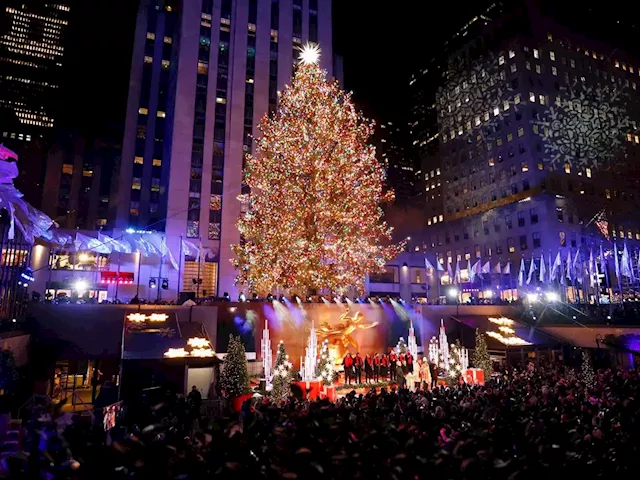 TAKE A LOOK | New York City lights the 50,000 bulbs of the Rockefeller Center Christmas tree | Business Insider