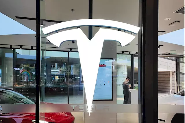 Tesla Stock Slumps After Company Reportedly Cuts Model Y Production From Shanghai Plant