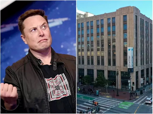 Elon Musk converts some Twitter offices into bedrooms at HQ in light of 'hardcore' ultimatum | Business Insider