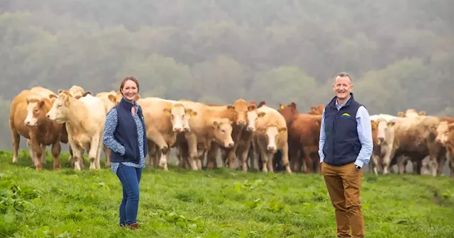 Dawn Meats targets net zero by 2040 with €100m investment