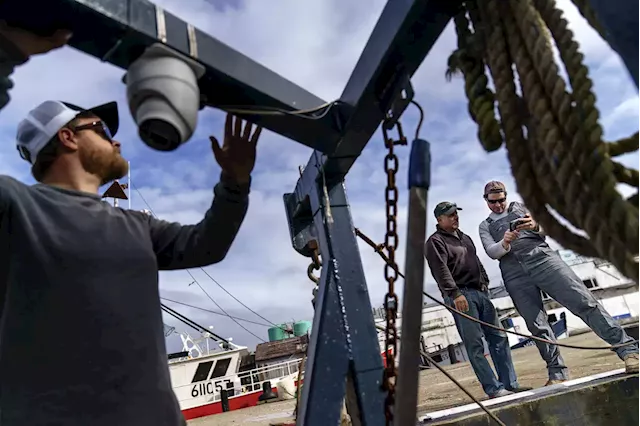 Could trawler cams help save world's dwindling fish stocks?