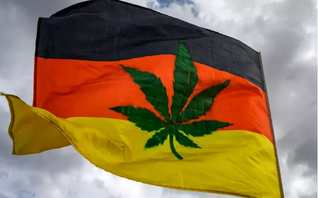 Germany's homegrown cannabis industry awaits legalisation