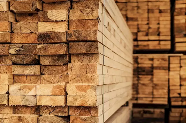 Lumber market to struggle until mid-2023, analysts predict