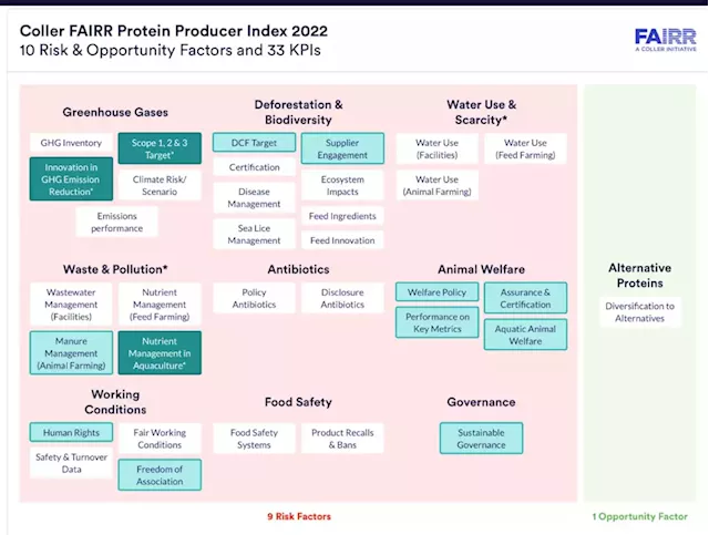 High marks for aquaculture companies Mowi, Grieg in global rating of protein producers | SaltWire