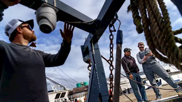 Could trawler cams help save world's dwindling fish stocks?