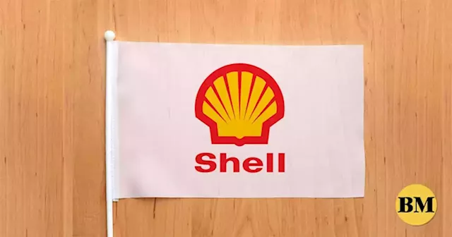 Employee health care, sustainability, robust business top priorities of Pilipinas Shell - BusinessMirror