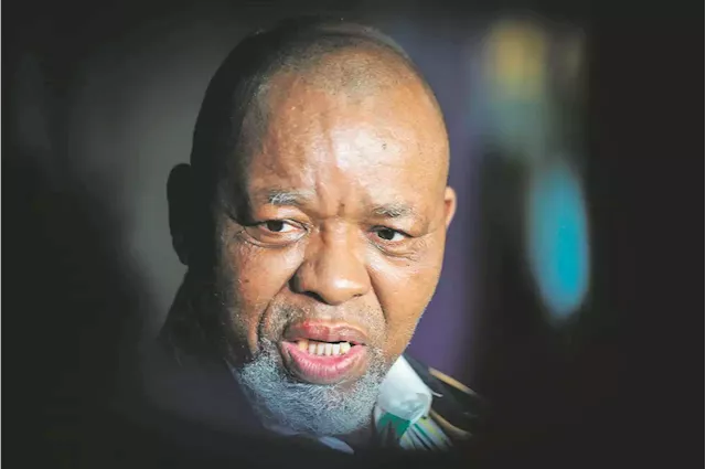 Mantashe: Eskom agitates for 'overthrow of the state' by not dealing with load shedding | Business