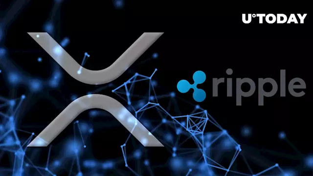 Ripple Moves Dozens of Millions of XRP – Is Company Selling?