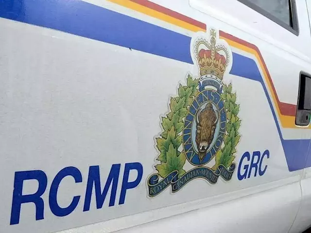 RCMP suspends contract with company tied to Chinese regime, Mendicino's office says