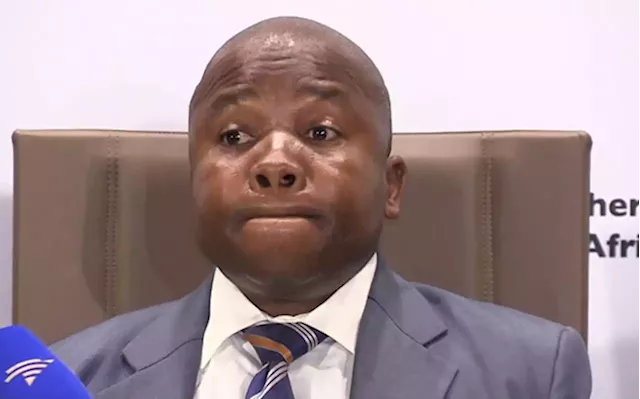 Des van Rooyen had Gupta approval to be finance minister: State capture report