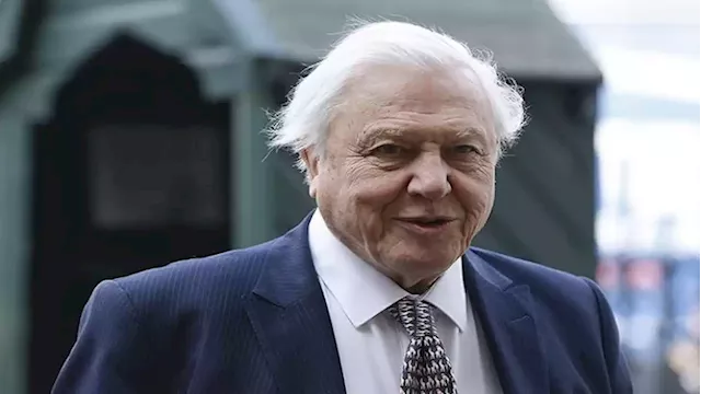 Attenborough, WHO, Tsikhanouskaya among nominees for Nobel Peace Prize - SABC News - Breaking news, special reports, world, business, sport coverage of all South African current events. Africa's news leader.